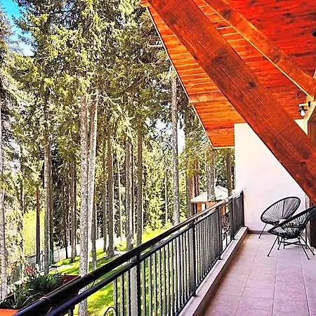 Boutique Murgavets Apartmán Pamporovo